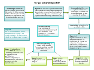 Hur går behandlingen till?