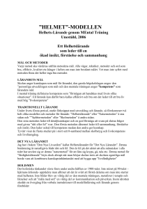 helmet”-modellen - Skandinaviska Ledarhögskolan