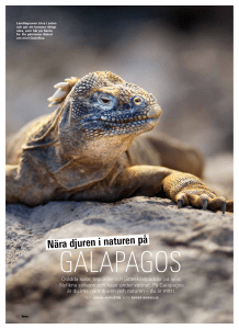 Nära djuren i naturen på
