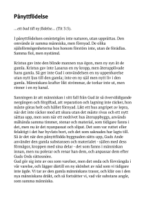 Pånyttfödelse