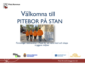 Presentation nattvandrare