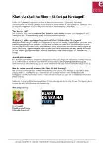 Klart du skall ha fiber – få fart på företaget!