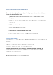 Laboration: Ett fotosyntesexperiment