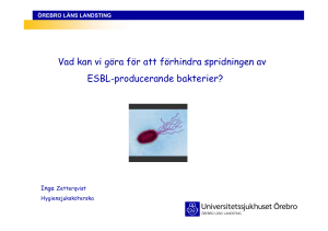 Vad kan vi göra för att förhindra spridningen av ESBL