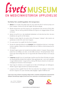 Kortfakta från utställningsdelen Att transportera