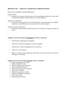 Microsoft Word document