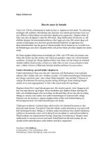 Kajsa Johansson - Lunds universitet