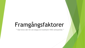 Framgångsfaktorer