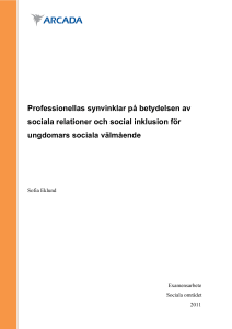 Professionellas synvinklar på betydelsen av sociala
