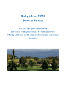 Behov av insatser – Sammanställning från 13 okt