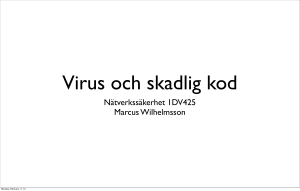Nätverkssäkerhet 1DV425 Marcus Wilhelmsson