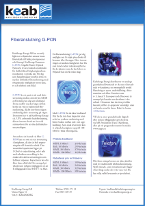 Fiberanslutning G-PON Internet TV Telefoni