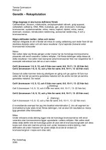 Mitos och meios