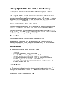 Traineeprogram för dig med fokus på Javautveckling!