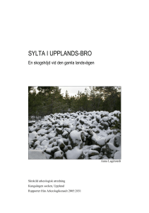 sylta i upplands-bro