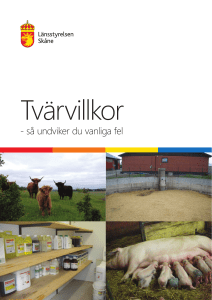 så undviker du vanliga fel