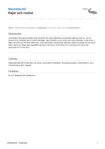 Neoselachii - hajar och rockor - 3000547
