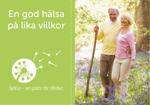 En god hälsa på lika villkor