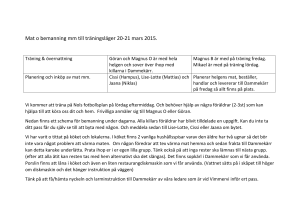 Mat o bemanning mm till träningsläger 20