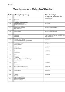Planeringsschema i Matematik år 7