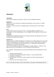 Resepolicy - Skurups kommun