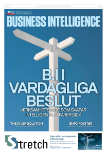 VerksamHetsstöd som skapar intelligenta affärer sid 4