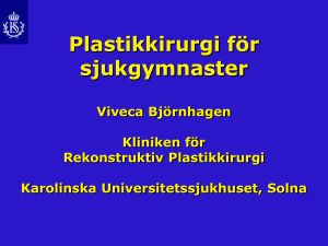 Ingen bildrubrik