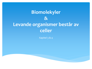 Hur man studerar celler