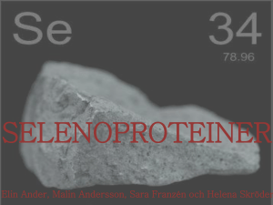 Elin Ander, Malin Andersson, Sara Franzén och Helena