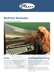 BizPoint Business Produktblad