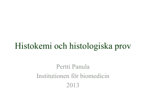 Histokemi och histologiska prov