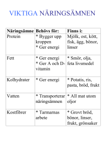 VIKTIGA NÄRINGSÄMNEN