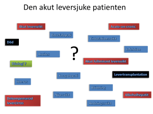 Den akut leversjuke patienten
