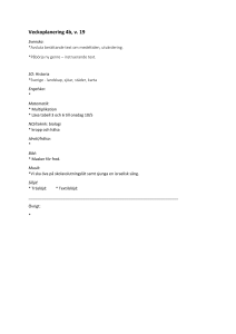 Veckoplanering 4b, v. 19