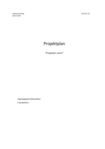 Projektplan för kundprojekt