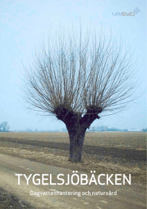 tygelsjöbäcken