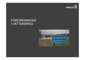 FÖRORENINGAR I VATTENDRAG