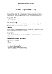 Projektbeskrivningsmall