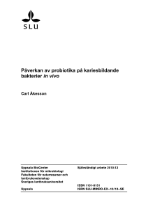Påverkan av probiotika på kariesbildande bakterier in vivo
