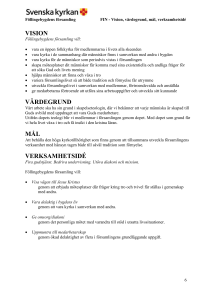 Vision, värdegrund, mål och verksamhetsidé