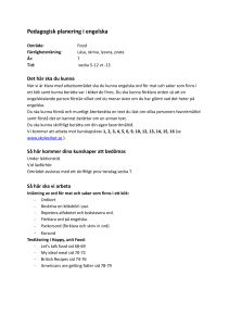 Pedagogisk planering i engelska