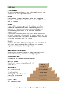Individen - S-info