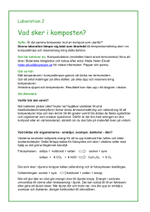 2. Vad sker i komposten? - Göteborgs botaniska trädgård