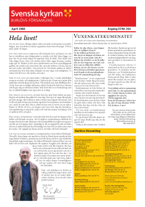 PDF-fil