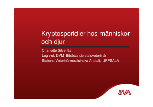 Kryptosporidier hos människor och djur