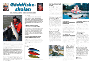 Gäddfiske