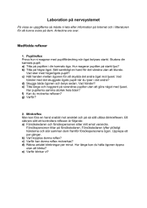 Laboration på nervsystemet