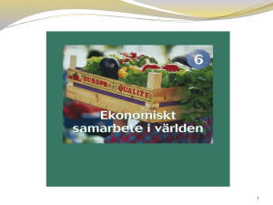 HANDELSPOLITIK OCH SPELREGLER FÖR VÄRLDSHANDELN