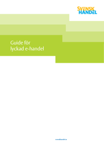 Guide för lyckad e-handel