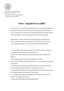 Fall 6 – Hepatit B